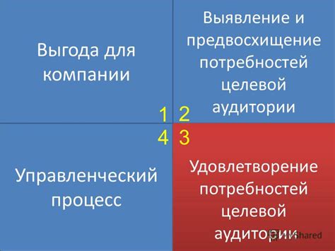 Удовлетворение потребностей целевой аудитории