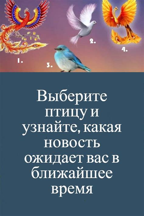 Узнайте, какая судьба ожидает главного героя и его семью