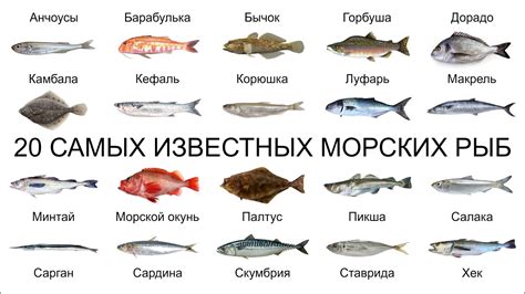 Узнайте, какие прекрасные существа живут в городе Калинов и как их влияет особый климат