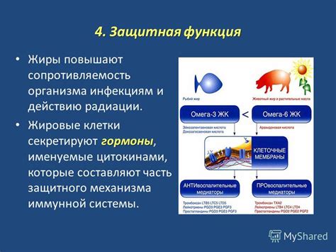 Укрепление защитного механизма организма