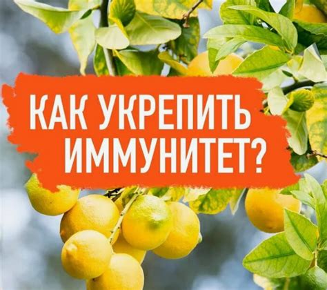 Укрепление иммунитета с помощью ежедневного потребления черного чая