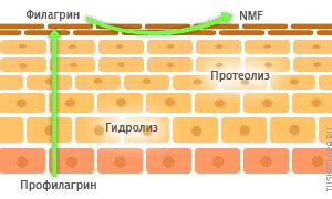 Улучшение влагоудерживающей способности грунта