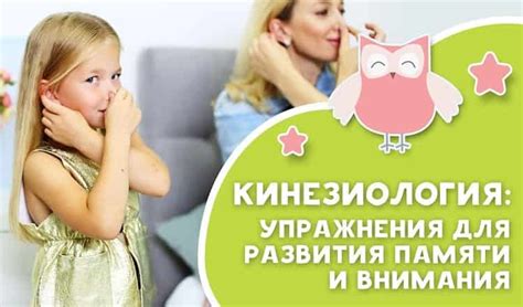 Улучшение памяти и преодоление языковых препятствий