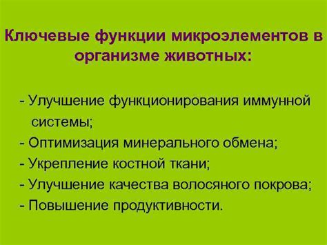 Улучшение функционирования иммунной системы