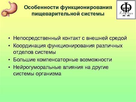 Улучшение функционирования пищеварительной системы