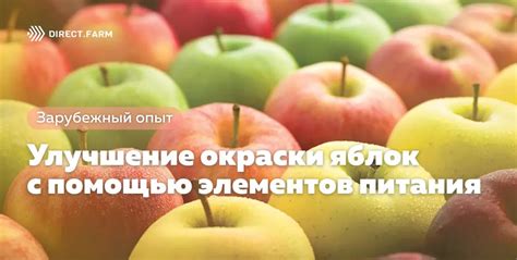 Уменьшение проникновения химических соединений в организм с помощью удаления кожуры яблок