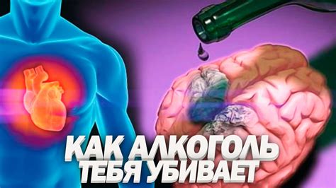 Умеренное употребление алкоголя и его воздействие на защитные функции организма