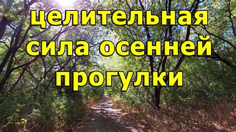 Умиротворяющая сила осенней прелести для души и тела