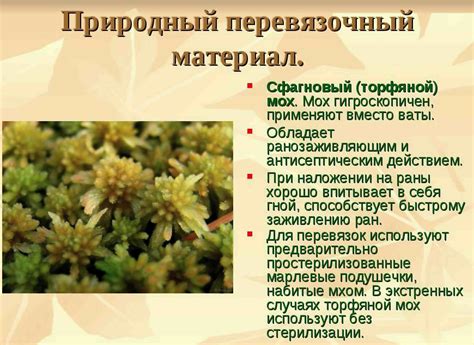 Универсальное применение сфагнума в садоводстве