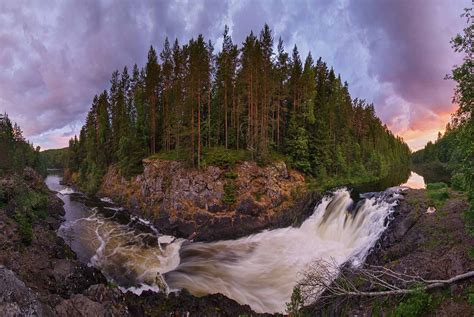 Уникальная карельская природа: идеальное место для возрождения неповторимой канделабровой березы