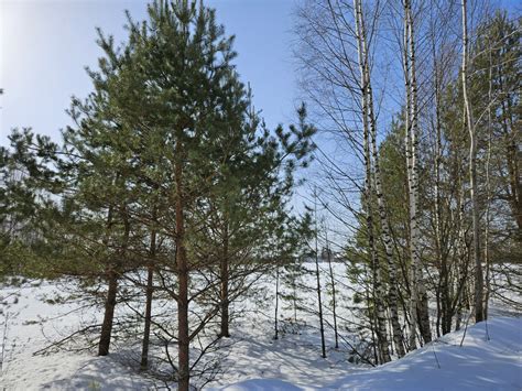 Уникальное местоположение в окружении природы