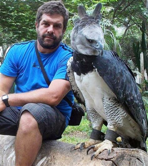 Уникальное место обитания третьего пернатого существа в мире Геншин