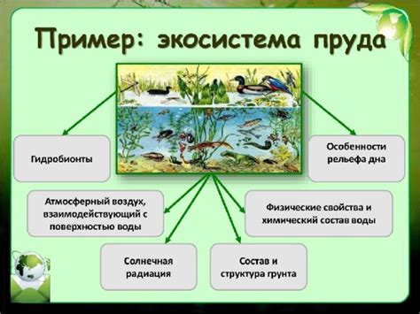 Уникальные водные экосистемы в природном комлексе реки Алей