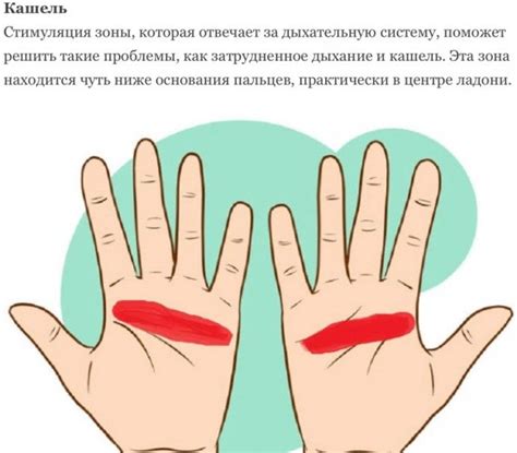 Уникальные подходы для избавления от неприятных ощущений после вечеринки