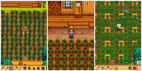 Уникальные хранилища ресурсов в Stardew Valley