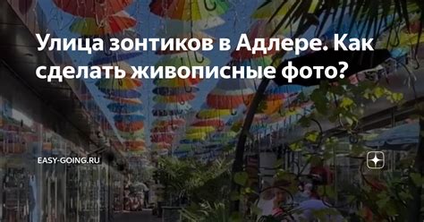 Уникальные черты аллеи зонтиков в Адлере