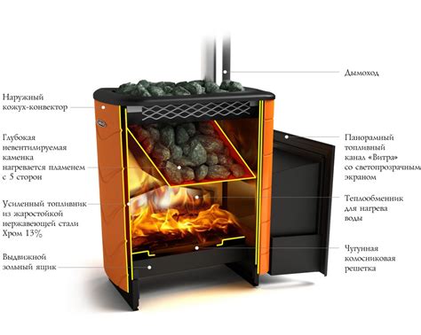 Уникальные черты и значимость веселки для биосистемы