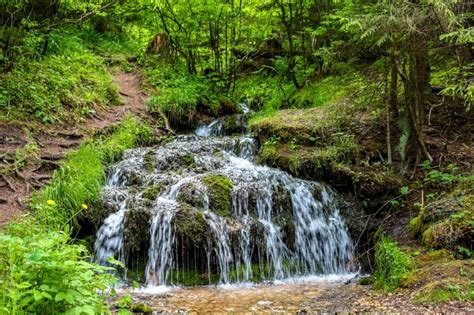 Уникальные черты природы неподалеку от каскада водопадов