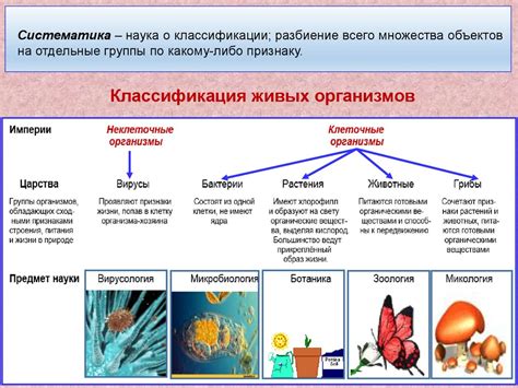 Уникальные черты чувствительности у живых организмов