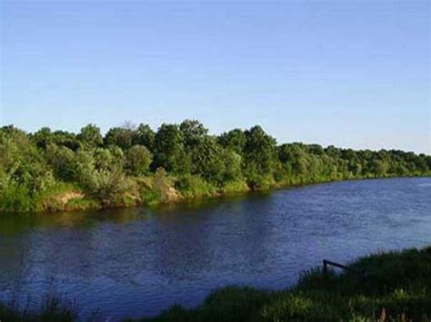 Уникальный биоразнообразие в водной системе реки Клязьма