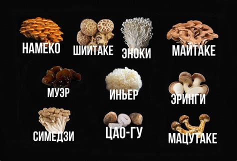 Уникальный вкус, созданный разнообразием грибов