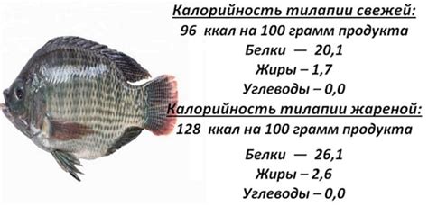 Уникальный раздел: Особенности рыбы тилапия