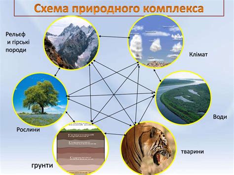 Управление и контроль над территорией природного комплекса