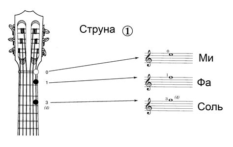 Упражнения и советы для освоения ноты Си♭ на домре