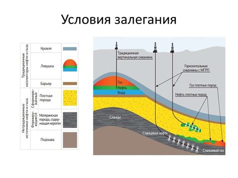 Уровень залегания крокусов: как правильно определить глубину посадки