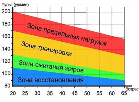 Уровни висцерального жира: диагностика и значение