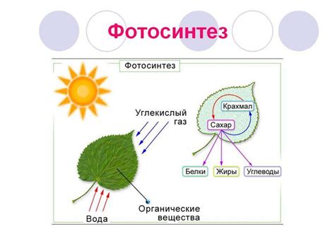 Условия, необходимые для полного возмещения