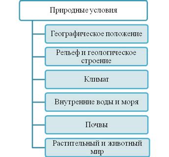 Условия и возможности на курсах: обеспечение и ресурсы