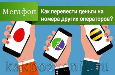 Условия переноса средств с Мегафона на Билайн: что указывает оператор