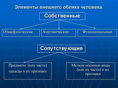 Усовершенствование внешнего облика компании