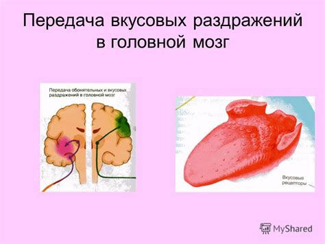 Усовершенствование пищеварения риса благодаря пропитыванию