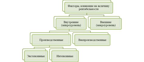 Успешные истории пристройства бездомных питомцев: факторы, влияющие на результат