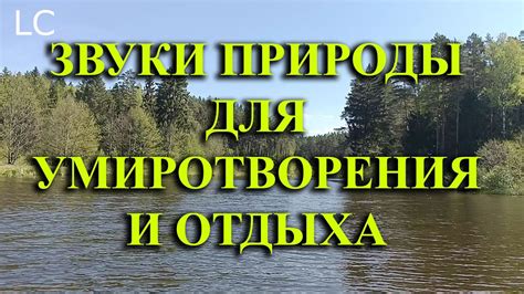 Успокоение души: морское стихотворение как лекарство от повседневных забот