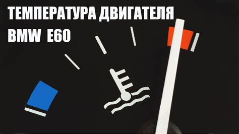 Установка и поддержание оптимальной температуры для хранения