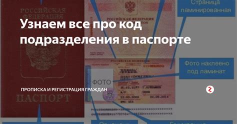 Установление личности гражданина: значение кода подразделения в паспорте Казахстана