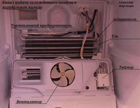 Устранение неисправностей с заменой электрической защиты на холодильнике Индезит