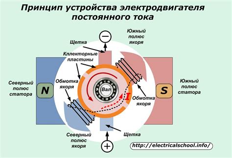 Устройство водного банана и его основные компоненты