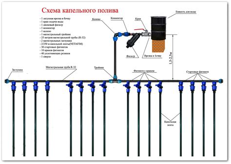 Устройство и принцип работы системы капельного полива