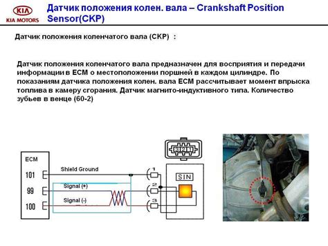 Устройство и принцип функционирования датчика коленвала