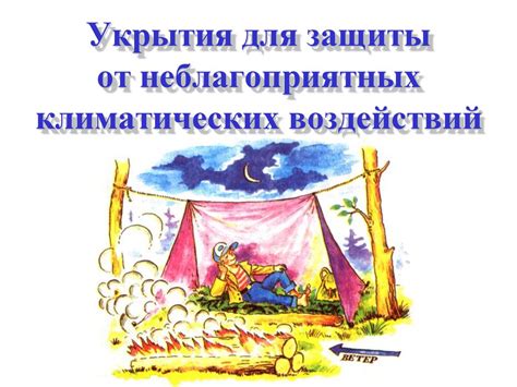 Уходы и укрытия: предоставление защиты от хищников и неблагоприятных условий