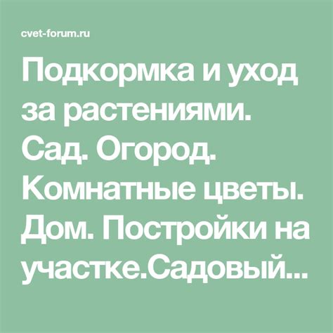 Уход за растениями: полив, подкормка и обрезка