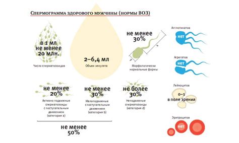 Ухудшение качества спермы у мужчин с работой в ночное время