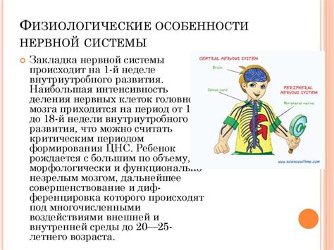 Ухудшение функционирования нервной системы у учеников второго года обучения