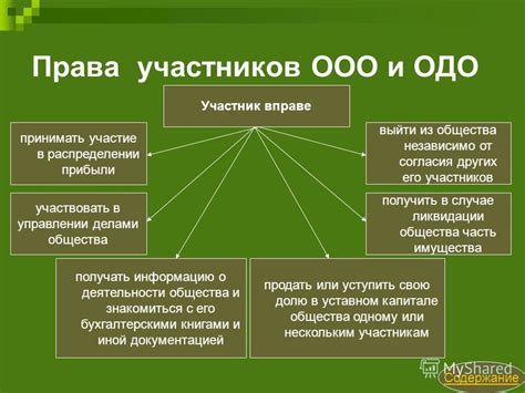 Участник ООО: его права и обязанности