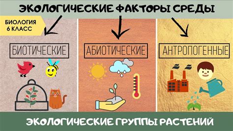 Учет факторов окружающей среды при определении места для оптимального падения соломинки