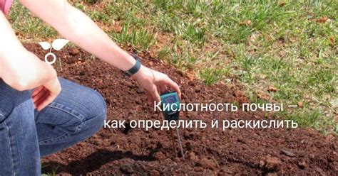 Учтите грунт: кислотность и влажность